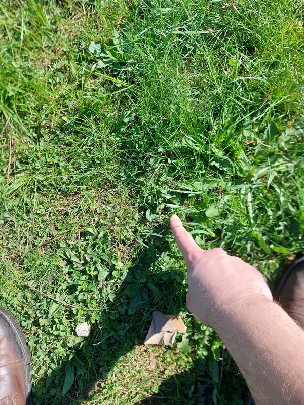 touch_grass